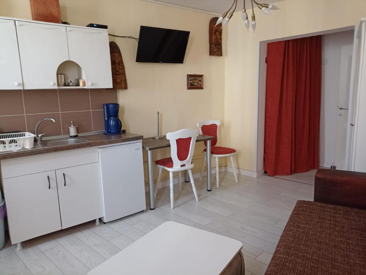 Two Bedroom Apartment Farmec Cluj Napoca Bagian luar foto